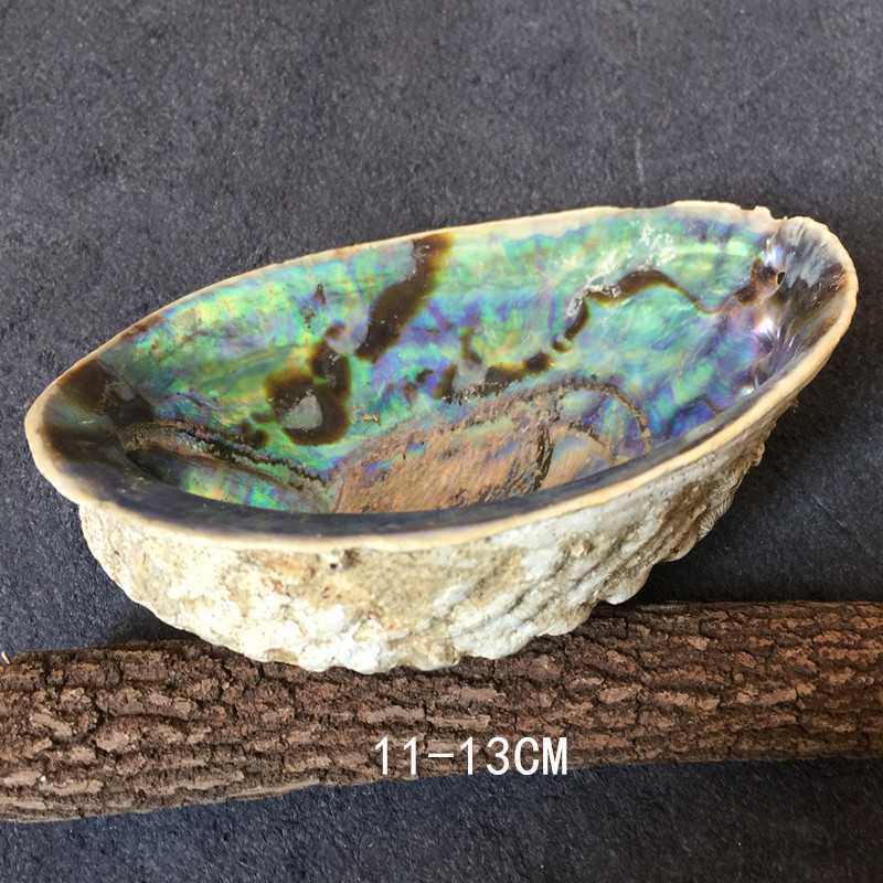 Large Natural Abalone Shell for Smudging (Stand Sold Separately)