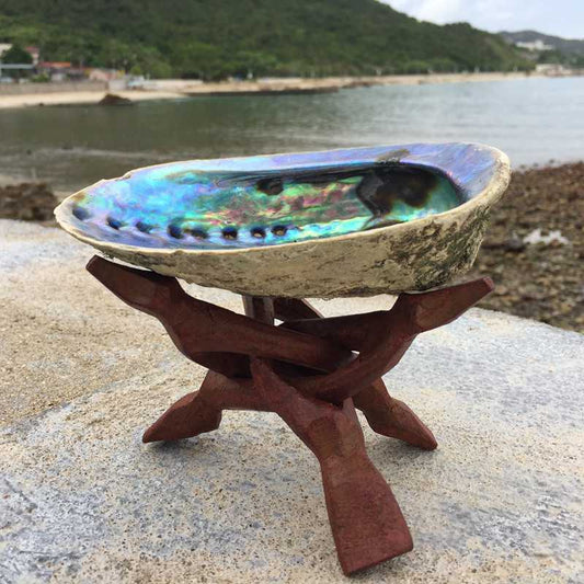 Large Natural Abalone Shell for Smudging (Stand Sold Separately)